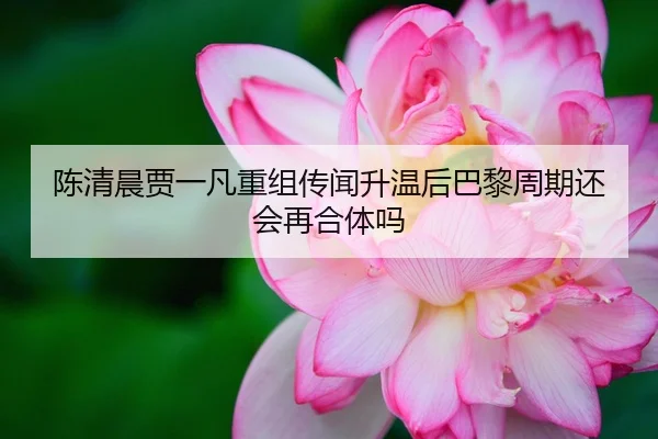 chen-qing-chen-jia-yi-fan-chong-zu-chuan-wen-sheng-wen-hou-ba-li-zhou-qi-hai-hui-zai-he-ti-ma-1-385.jpg