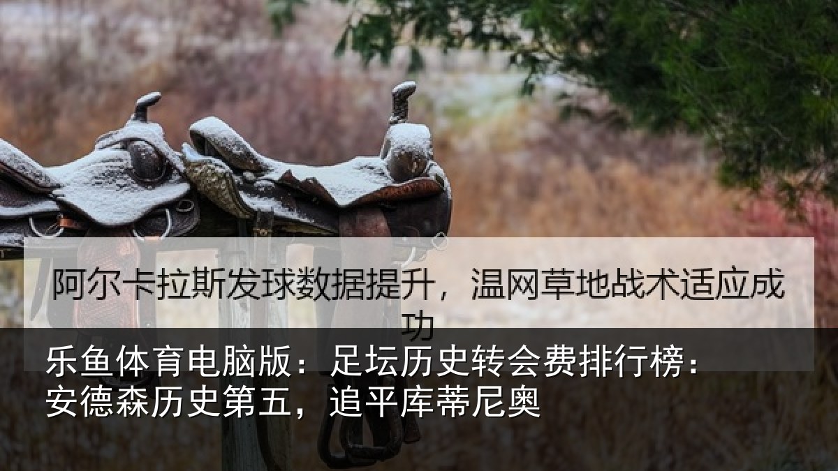 乐鱼体育电脑版：足坛相关情况：安德相关情况蒂尼奥