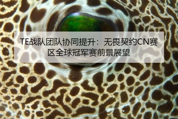TE战队团队协同提升：无畏契约CN赛区全球冠军赛前景展望